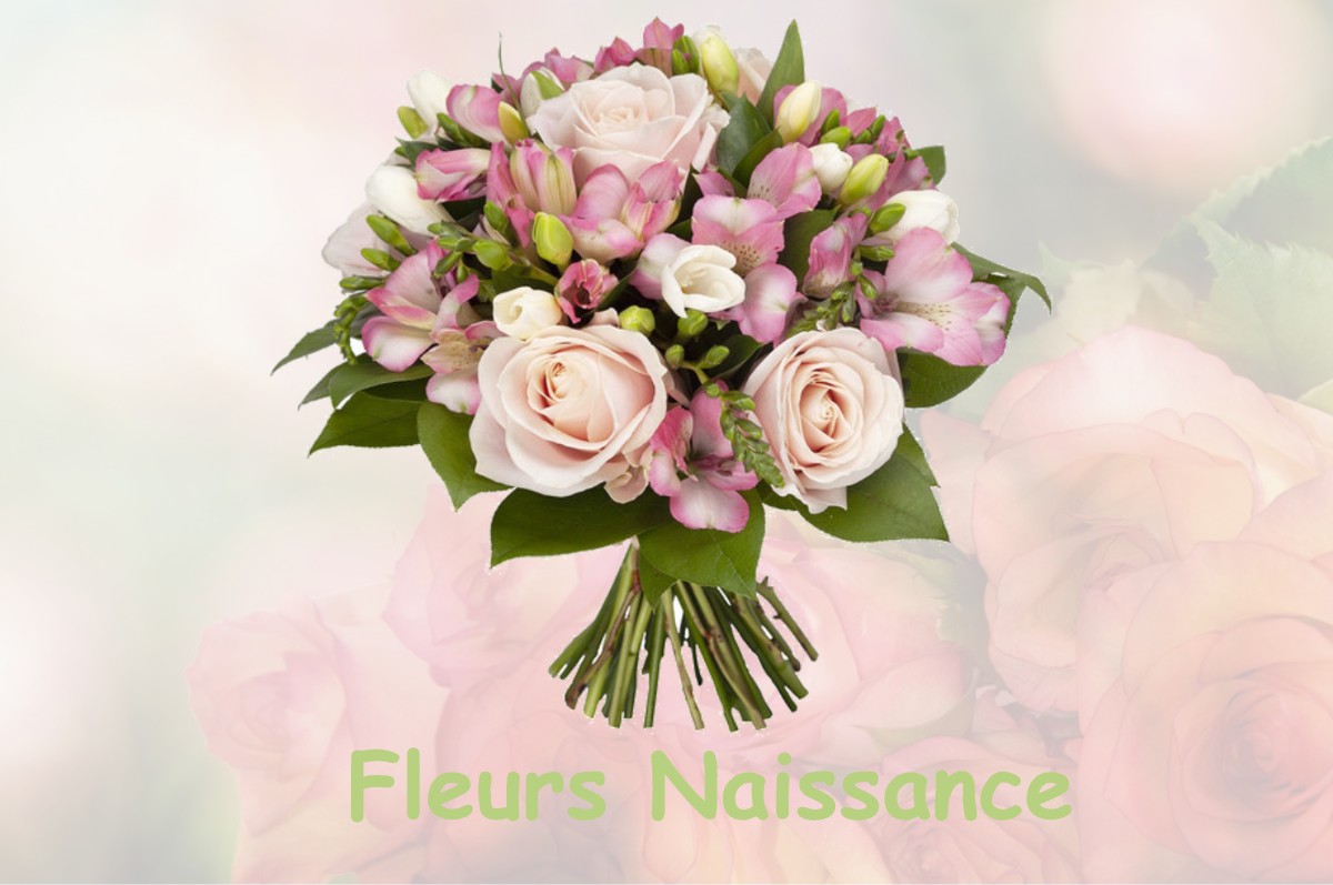 fleurs naissance ANNOIRE