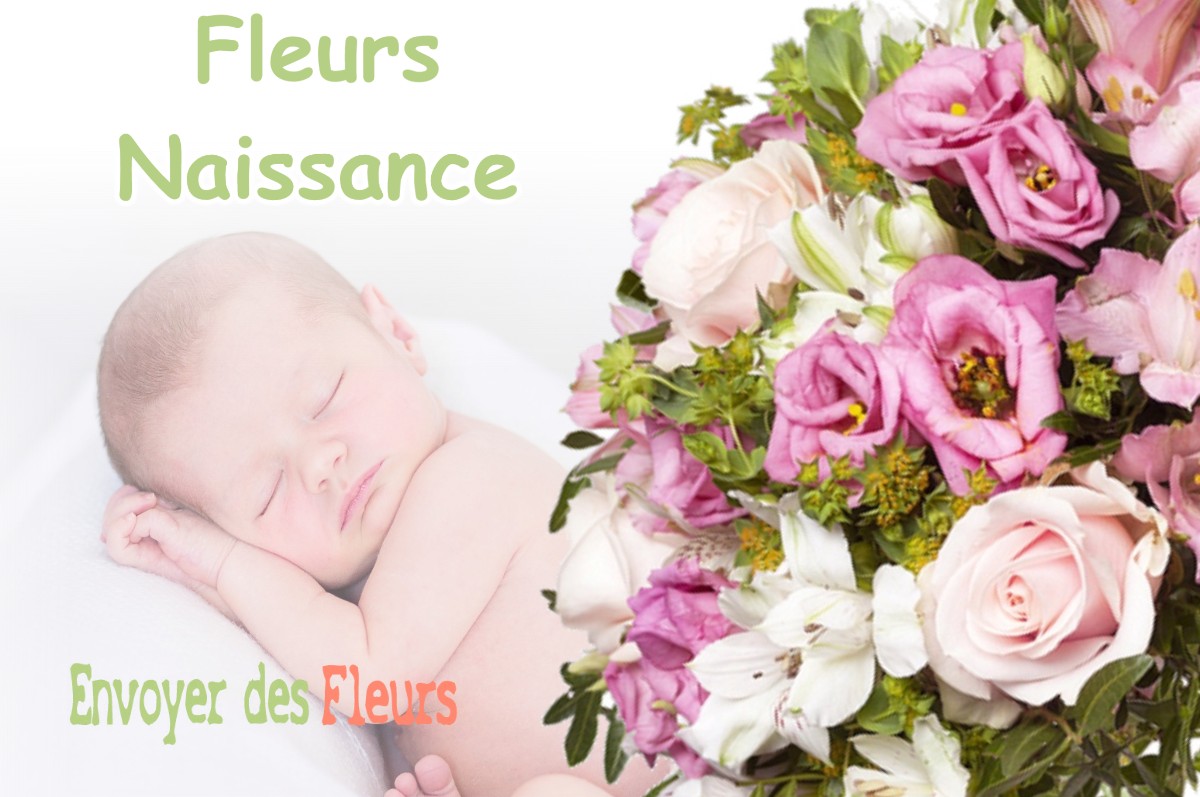 lIVRAISON FLEURS NAISSANCE à ANNOIRE